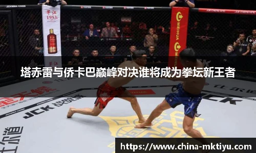 塔赤雷与侨卡巴巅峰对决谁将成为拳坛新王者